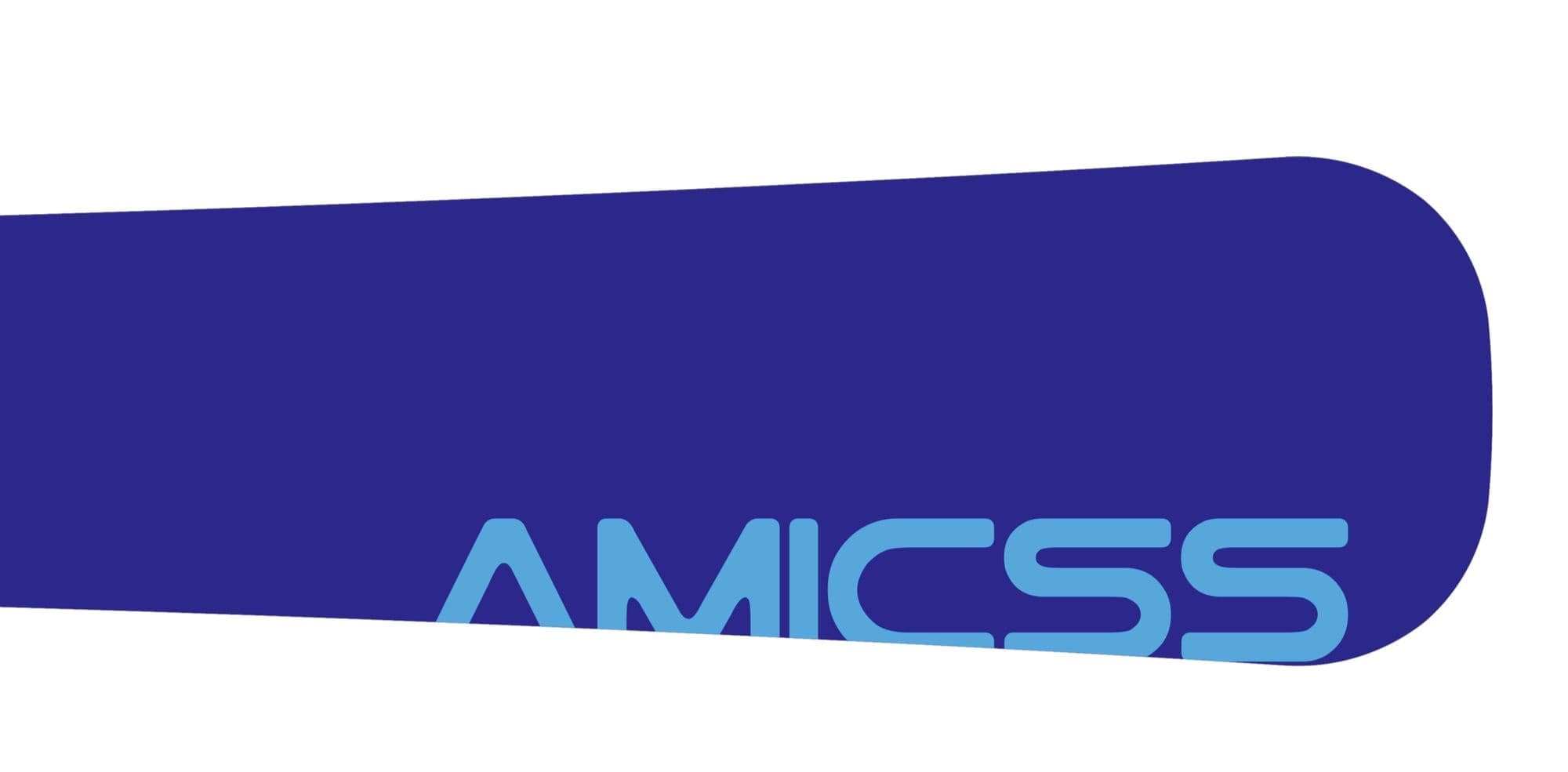 amicss_9464d754-b964-44fd-aec1-7e96e2119ed8_20210425072641594.jpg